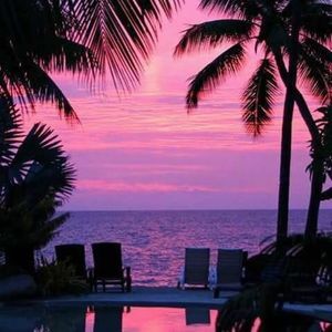 Meet your Posher, Abbey